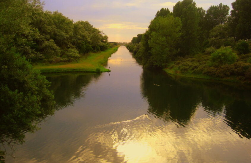 Amsterdamse Waterleidingduinen (AWD)