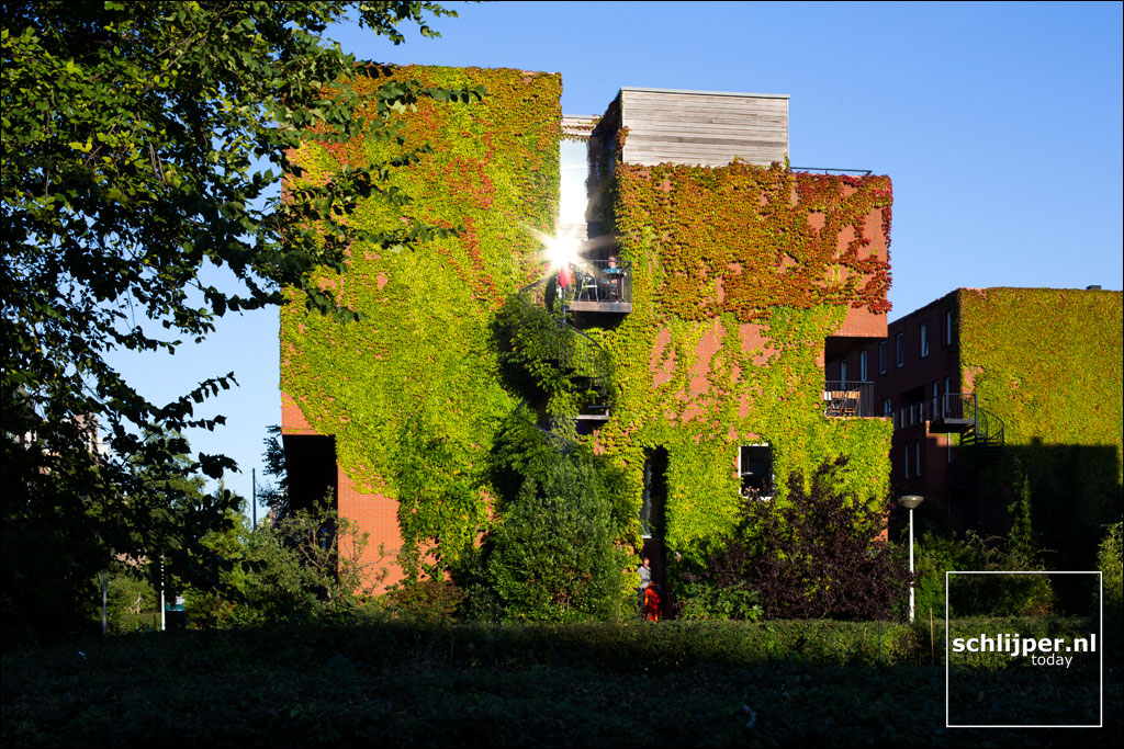 gwl terrain: amsterdams first car-free neighborhood