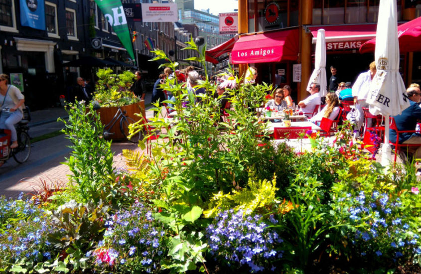 Secret Village: Discover Amsterdam’s most future proof street